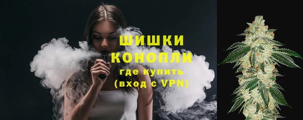 PSILOCYBIN Арсеньев