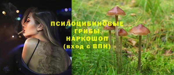 Альфа ПВП Армянск