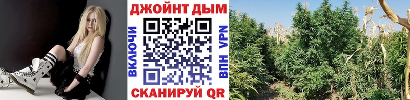 Каннабис марихуана  где купить наркотик  Малоархангельск 